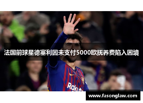 法国前球星德塞利因未支付5000欧抚养费陷入困境